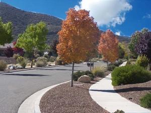 fall with sky1